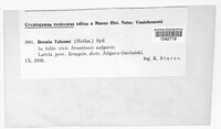 Image Associated With the Occurence